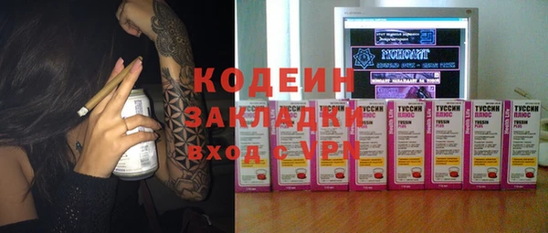 шишки Алексин