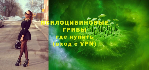 героин Пересвет