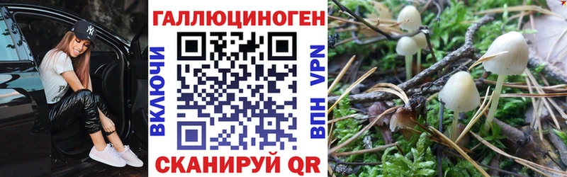 Галлюциногенные грибы Magic Shrooms  Купить  Болгар 
